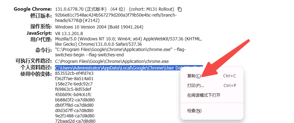 Chrome的文件缓存设置方法3