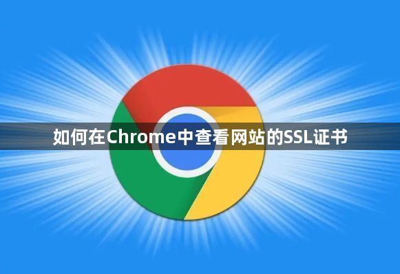 如何在Chrome中查看网站的SSL证书1