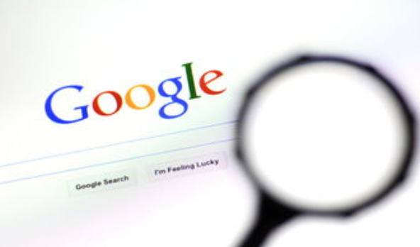 Chrome蜜蜂复眼系统监测极地微塑料污染1