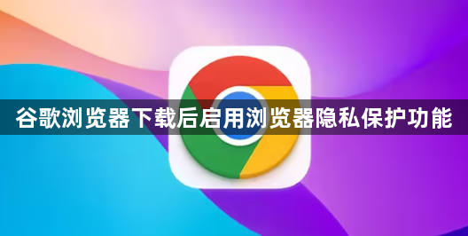 谷歌浏览器下载后启用浏览器隐私保护功能1