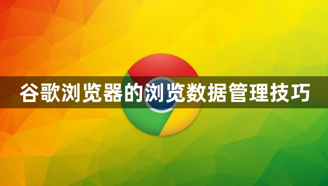 谷歌浏览器的浏览数据管理技巧1