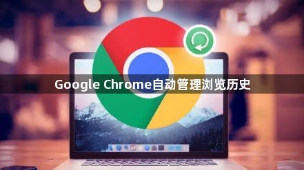 Google Chrome自动管理浏览历史1