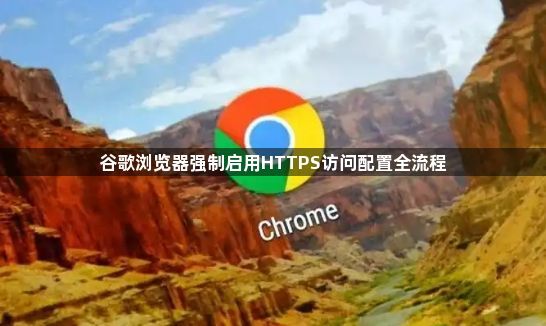 谷歌浏览器强制启用HTTPS访问配置全流程1