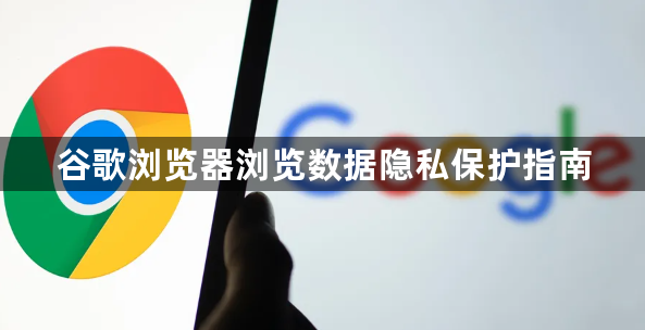 谷歌浏览器浏览数据隐私保护指南1