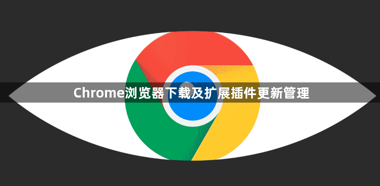 Chrome浏览器下载及扩展插件更新管理1