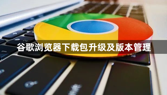 谷歌浏览器下载包升级及版本管理1