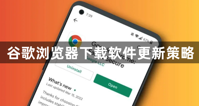 谷歌浏览器下载软件更新策略1