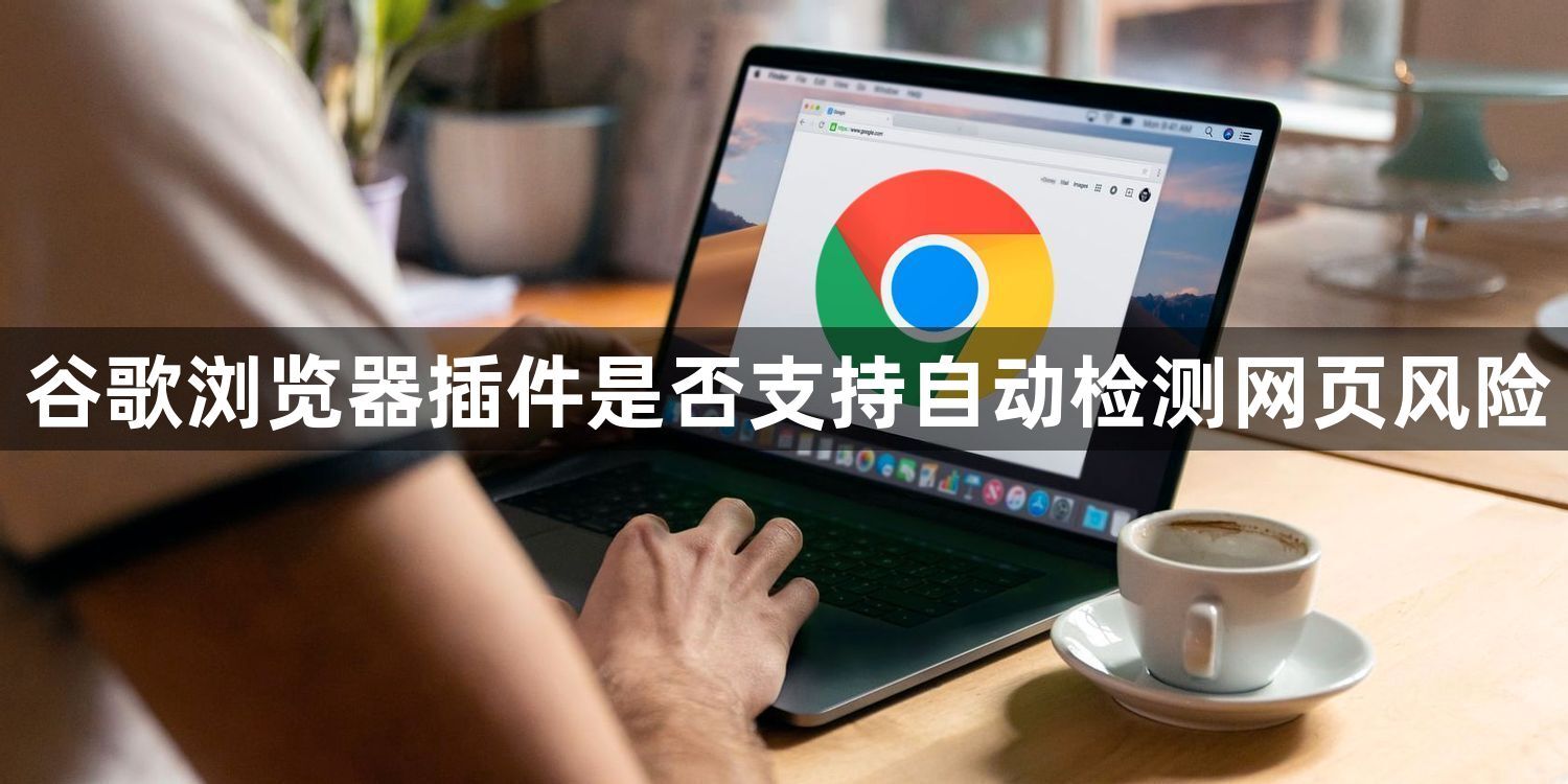 谷歌浏览器插件是否支持自动检测网页风险1