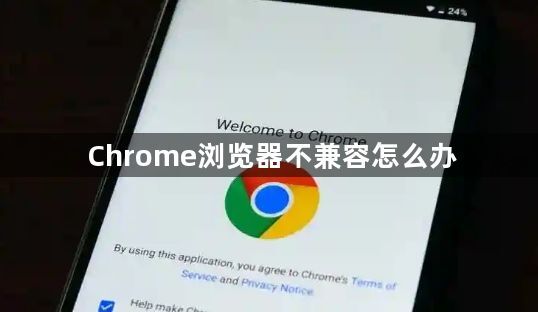 Chrome浏览器不兼容怎么办1