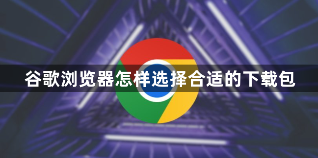 谷歌浏览器怎样选择合适的下载包1