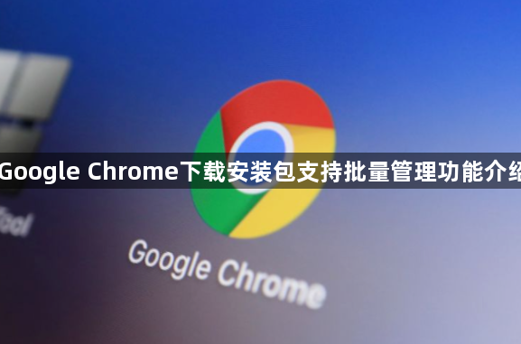 Google Chrome下载安装包支持批量管理功能介绍1