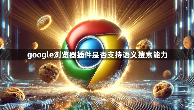 google浏览器插件是否支持语义搜索能力1