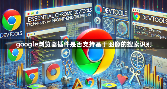 google浏览器插件是否支持基于图像的搜索识别1