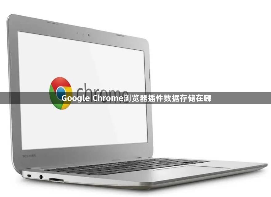 Google Chrome浏览器插件数据存储在哪1