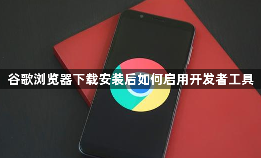 谷歌浏览器下载安装后如何启用开发者工具1