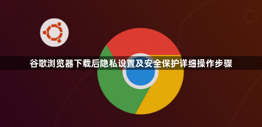 谷歌浏览器下载后隐私设置及安全保护详细操作步骤1