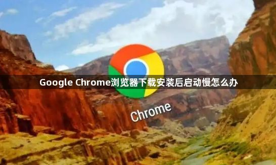 Google Chrome浏览器下载安装后启动慢怎么办1