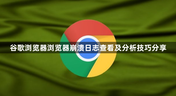 谷歌浏览器浏览器崩溃日志查看及分析技巧分享1