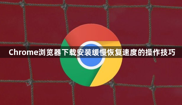 Chrome浏览器下载安装缓慢恢复速度的操作技巧1