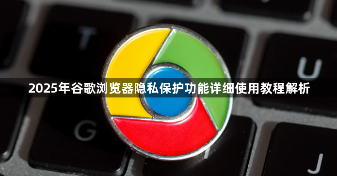 2025年谷歌浏览器隐私保护功能详细使用教程解析1