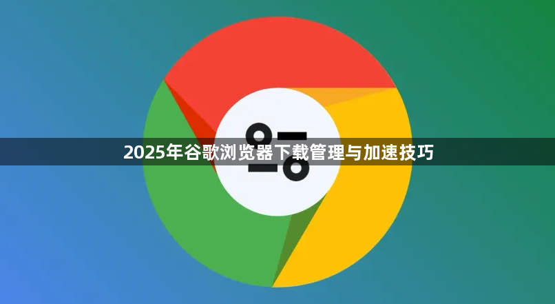 2025年谷歌浏览器下载管理与加速技巧1