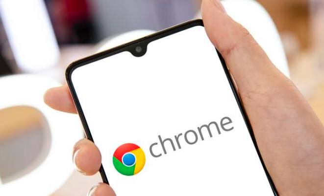 Chrome浏览器下载安装完成后隐私设置推荐
