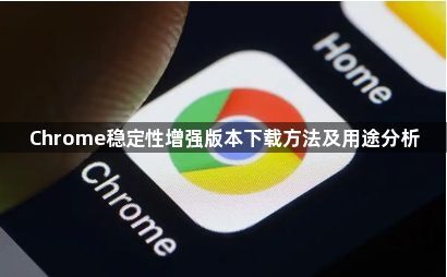 Chrome稳定性增强版本下载方法及用途分析1