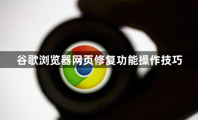 谷歌浏览器网页修复功能操作技巧1