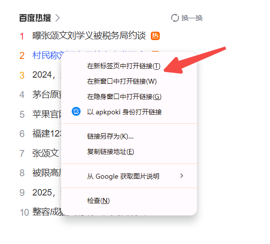 Chrome浏览器如何查看和管理页面中的外部链接2