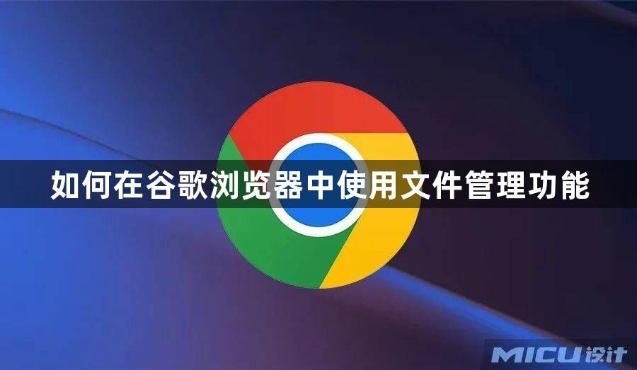 如何在谷歌浏览器中使用文件管理功能1