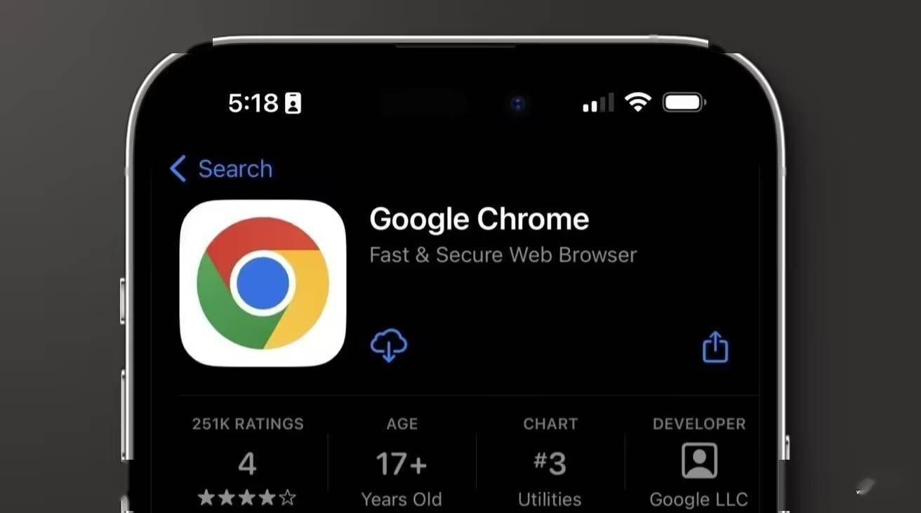 Chrome的下载管理器如何显示更多信息