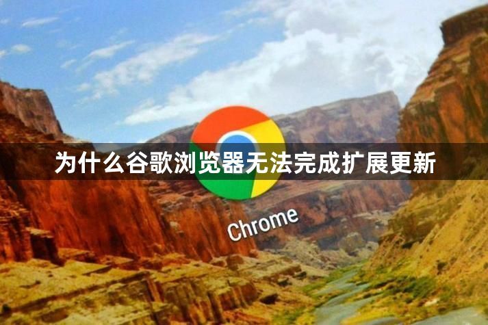 为什么谷歌浏览器无法完成扩展更新1
