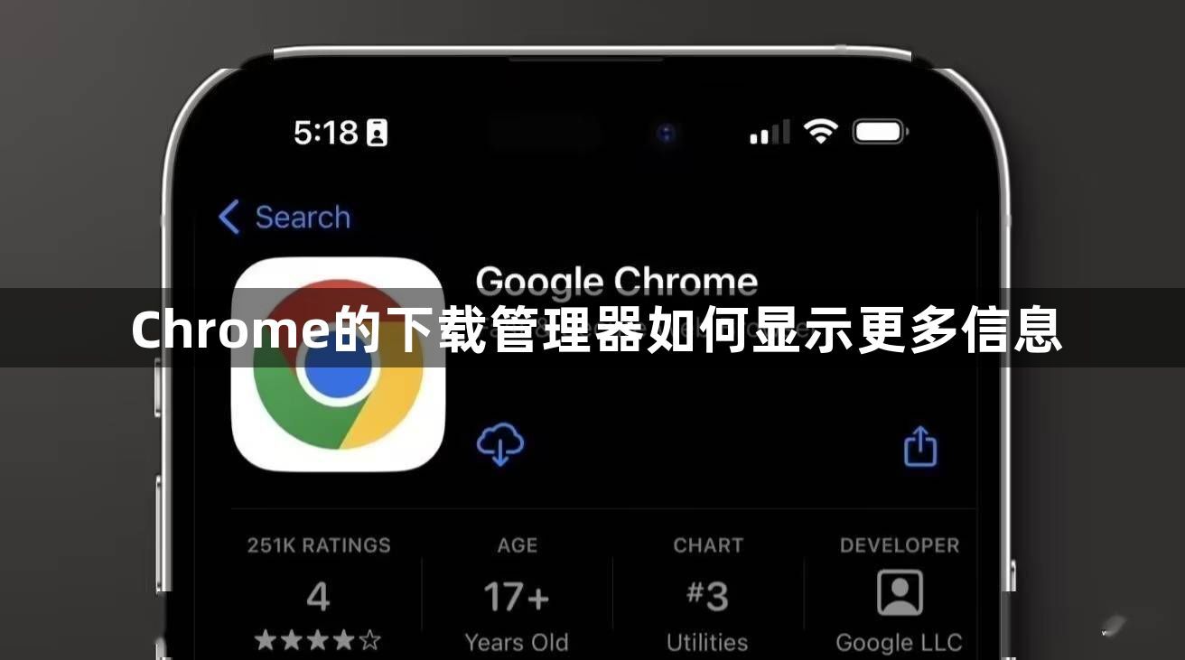Chrome的下载管理器如何显示更多信息1