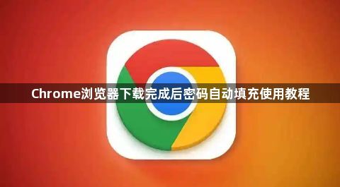 Chrome浏览器下载完成后密码自动填充使用教程1