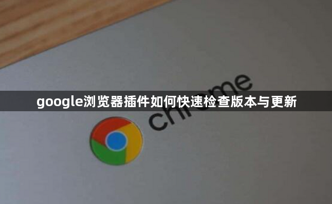 google浏览器插件如何快速检查版本与更新1