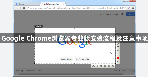 Google Chrome浏览器专业版安装流程及注意事项1